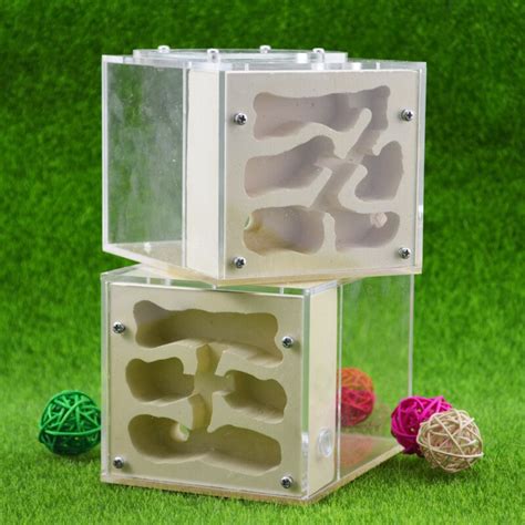 13*10*9.5 cm Gips Ant Nest Acryl Ant Farm Mieren K... – Grandado