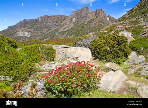 Mount ossa tasmania hi-res stock photography and images - Alamy