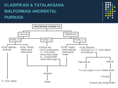 Anoplasty