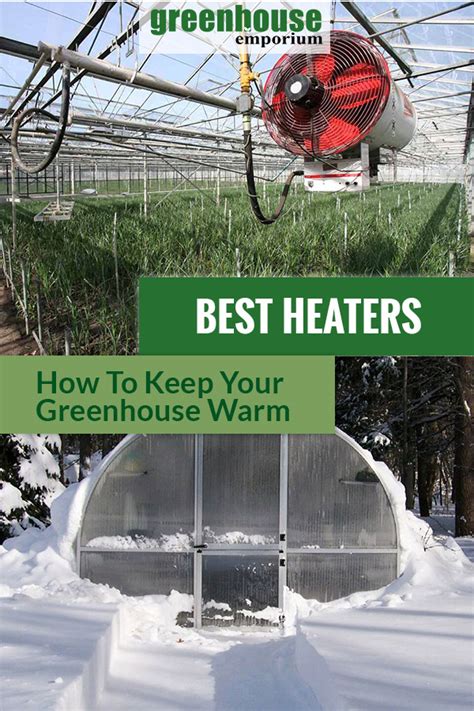 Best Greenhouse Heaters for the Cold Season