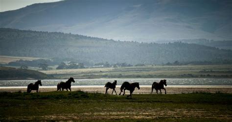 History of Botrivier, Overberg, Western Cape