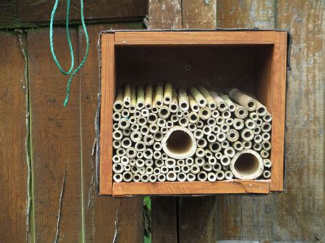 Silent Spring • diy: “bee box“ made by goshawk on DIY.