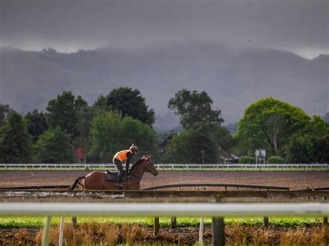 Hawke’s Bay weather: Weekend heavy rain watch could reach warning levels