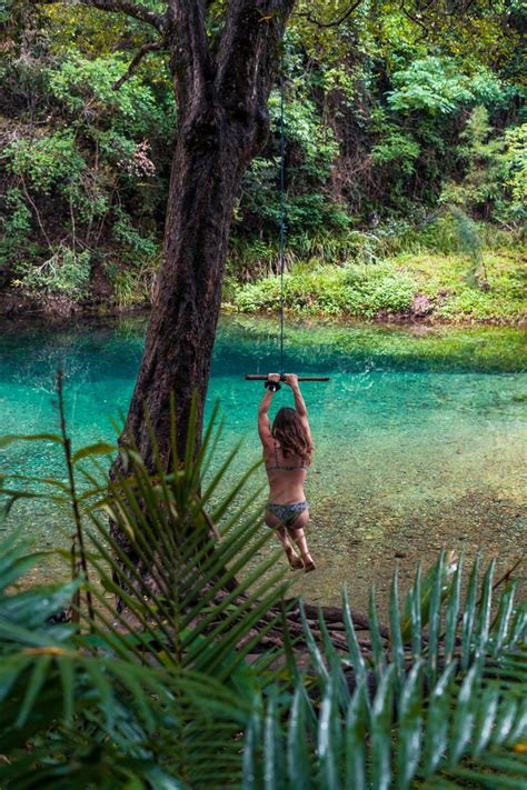 How to do Conondale National Park | Queensland