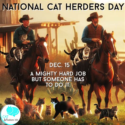 How To Celebrate National Cat Herders Day | Cat Wisdom 101