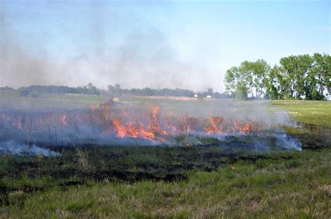 Taken For Granted: Grass Fire Pictures