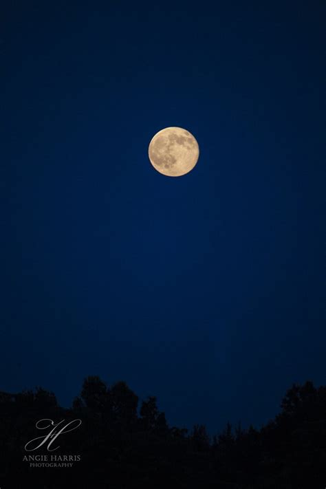 Full Moon Night Photography Print Moon Wall Hanging | Etsy