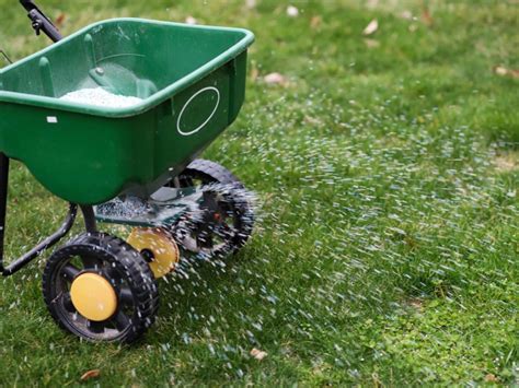 Tips On Feeding Lawns - How And When To Put Fertilizer On Lawn