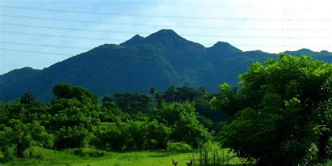 Mt. Makiling Dayhike - Hiking / Mountain Climbing Itineraries ...