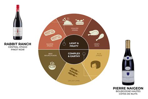 Pinot Noir Complete Guide | For Beginners