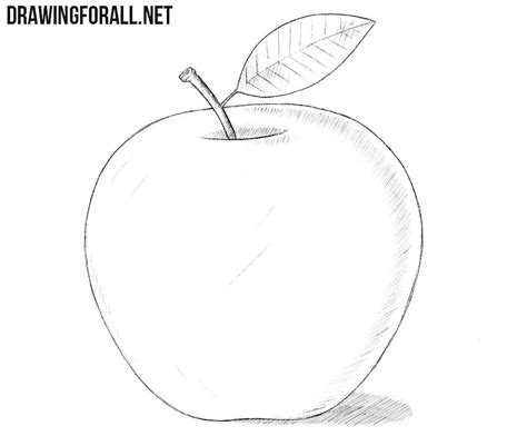 Pencil Apple Drawing | ist-internacional.com