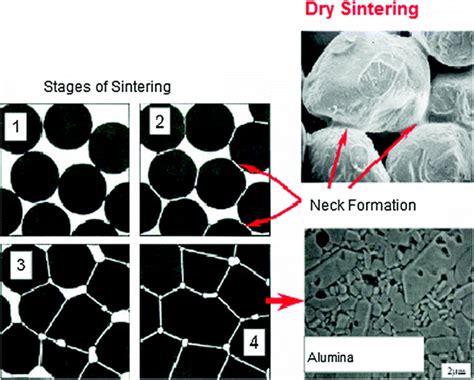 Microstructure of Ceramic Materials | SpringerLink