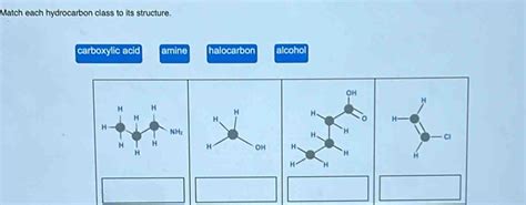 Match each hydrocarbon class to its structure. carboxylic acid amine ...