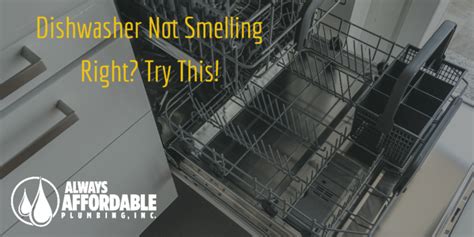 Bad Smell Coming From Your Dishwasher? You Should Check This! - Always ...