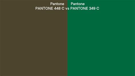 Pantone 448 C vs PANTONE 349 C side by side comparison