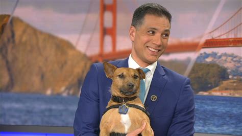 Puppy Cam: ABC7 holds adoption event for National Puppy Day 2023 - ABC7 San Francisco