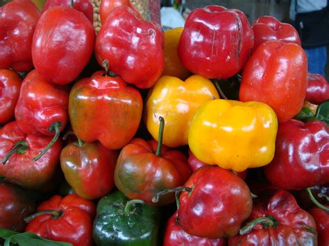 Rocoto Relleno - Fuego en la Boca | PERU DELICIAS