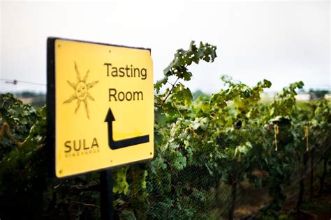 India Wine Tourism: 5 Nashik Vineyards with Tasting Rooms