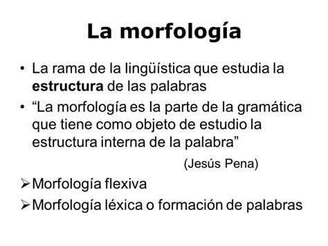 Explora la importancia de la morfología en el estudio del lenguaje ...