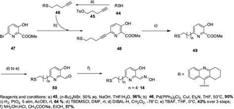 Scheme 6. Synthesis of oxime 14. | Download Scientific Diagram