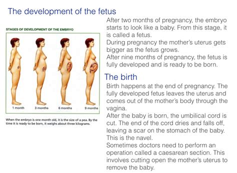 Human Reproduction, 5th level (Part 2) - Screen 8 on FlowVella - Presentation Software for Mac ...