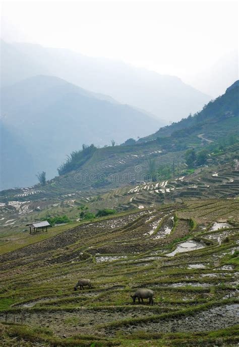 Travel in Asia, Sapa, Lao Cai, Vietnam Stock Image - Image of sapa ...