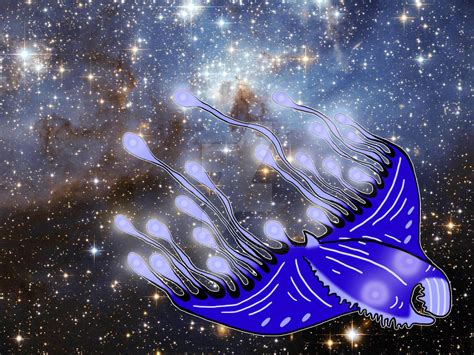 Space Manta Ray by theDoctorsAssistant on DeviantArt