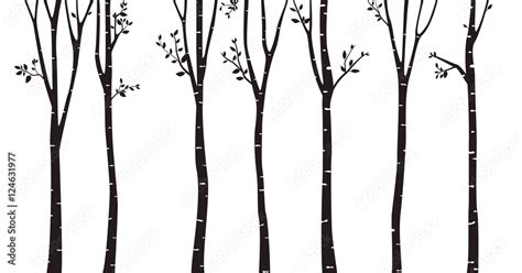 Birch Tree Silhouette Background Stock Vector | Adobe Stock