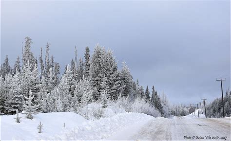 Northern Interior British Columbia: Winter’s Heavy Frost & Snow Houston British Columbia