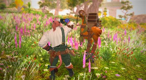 Botanist | Eorzea Collection