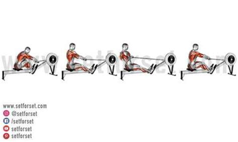 What Muscles Does A Rowing Machine Work? - SET FOR SET