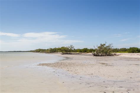 Hiking Florida – Flamingo, Everglades National Park | Nick Botner