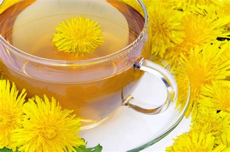 Appetite Suppressant Tea: Your Ultimate Guide | The Cozy Teacup