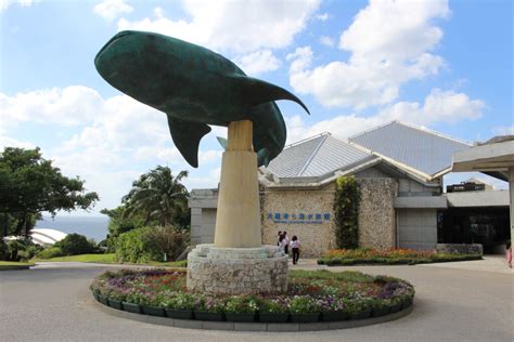 Whale Shark is outstanding at Okinawa Churaumi Aquarium - iTWS japan TRAVEL PORTAL