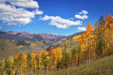 Fall In The High Country - Vail, CO [6000x4000] [OC] : EarthPorn