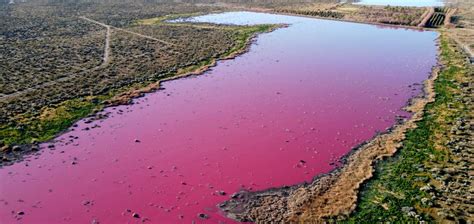 Industrial waste turns Patagonian lake into pink lagoon | Buenos Aires Times