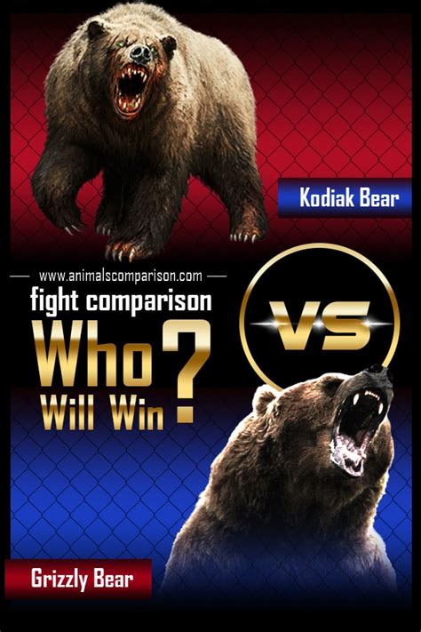 Grizzly Bear vs Kodiak Bear fight comparison, who will win?