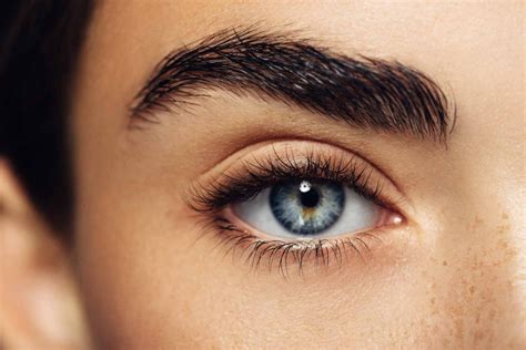 Best Eyebrow Waxing in Orlando, FL - gotoBrazils Waxing Center