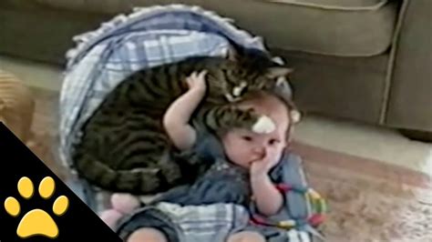 Cat Protects Baby - YouTube