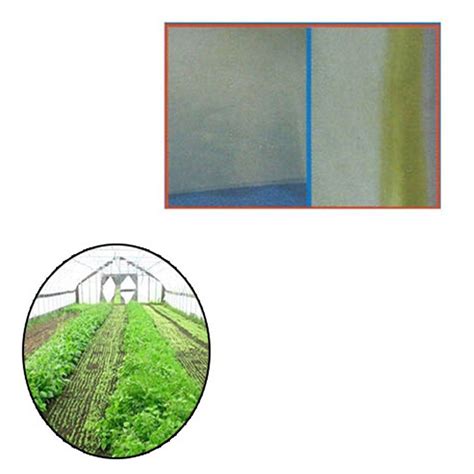 Zestha Developers Yellow Greenhouse Poly Film, 3 Meter, Thickness: 200 ...