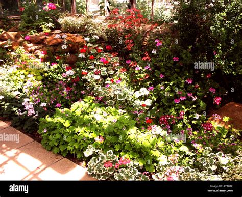 Cambridge University Botanic Gardens Stock Photo - Alamy