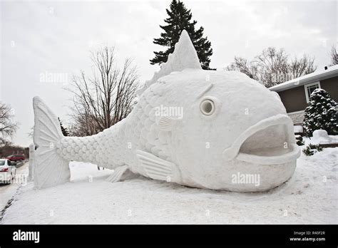 USA, Minnesota, New Brighton Fish Snow Sculpture Stock Photo - Alamy