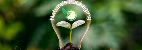 The 5 Types of Innovative Forest Products – Part 1 – Nature's Packaging