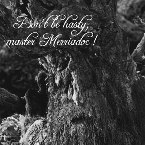 Treebeard Tolkien Quotes. QuotesGram