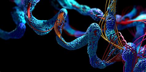 protein folding | Discovery Institute