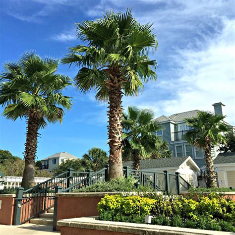 Wild Dunes Resort in Isle Of Palms, South Carolina