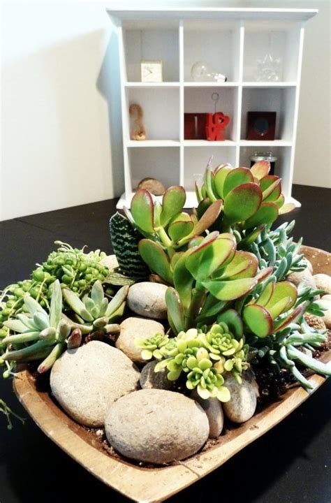 Sturdy houseplants – popular, easy care potted plants | Interior Design Ideas | AVSO.ORG