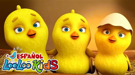 🐤🐥Los Pollitos Dicen Pio Pio + La Vaca Lola - Canciones Infantiles para niños - LooLoo Kids ...