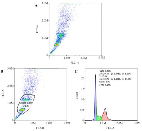 2-Schematic representation of flow cytometry data analysis: A ...