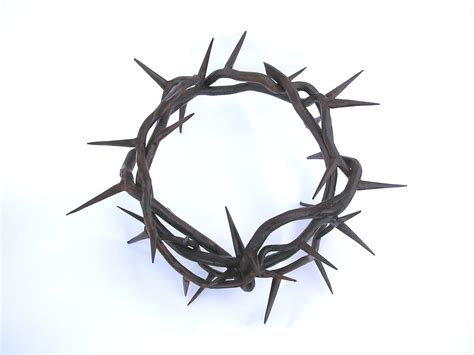 Free Thorn Crown Cliparts, Download Free Thorn Crown Cliparts png ...